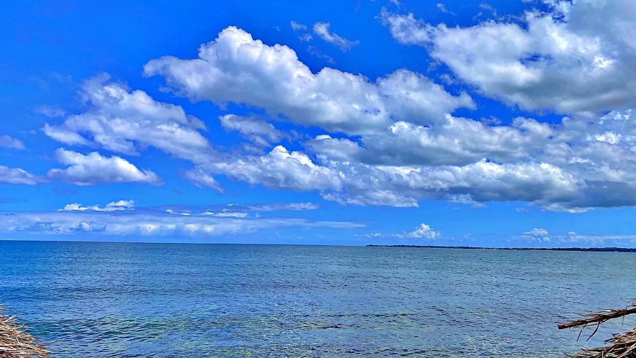 Oceanfront Condo W/ Free Parking + High Speed Wifi ネグリル