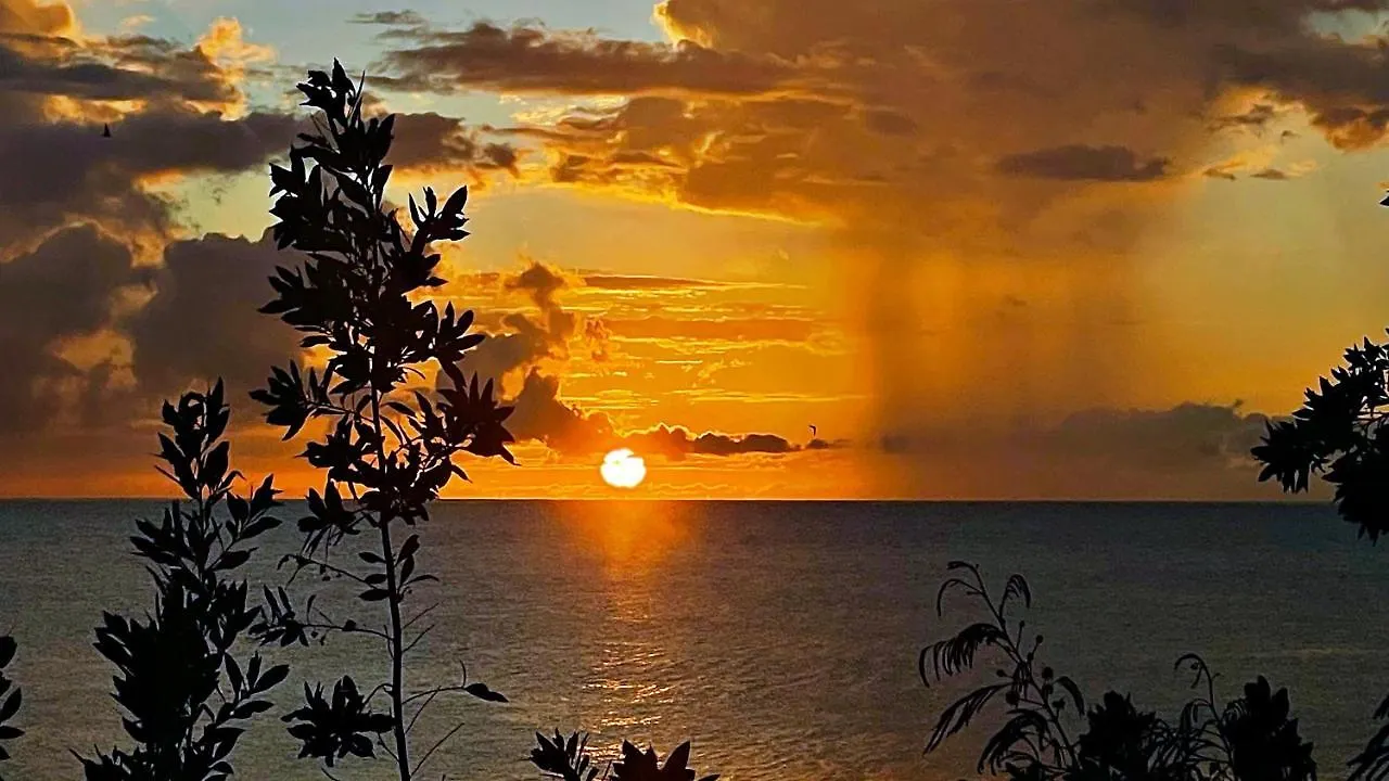 Apartment Oceanfront Condo W/ Free Parking + High Speed Wifi Negril Jamaica